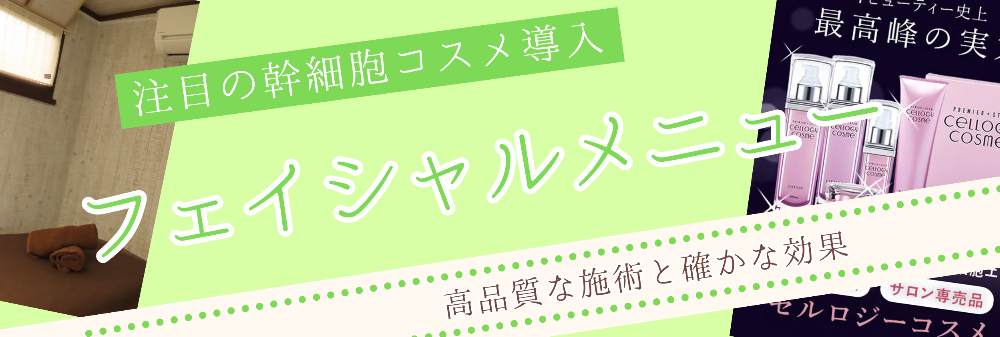 Wellness Station Link｜脱毛｜酸素BOX｜フェイシャル｜バストケア