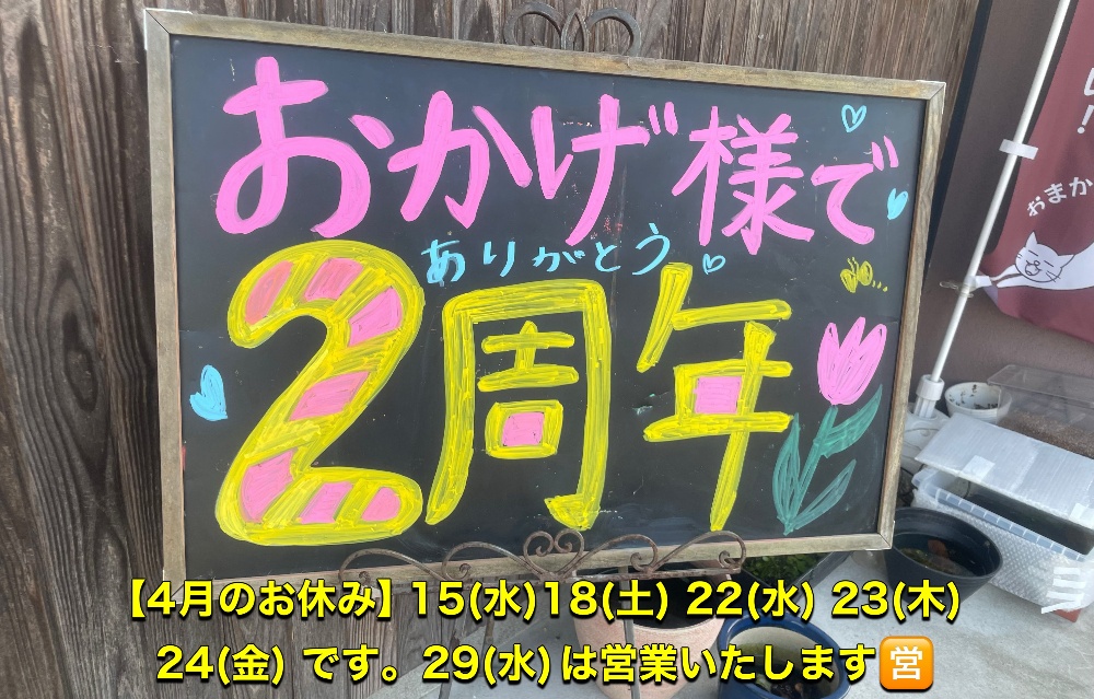 　




鍼灸サロン しろねこ