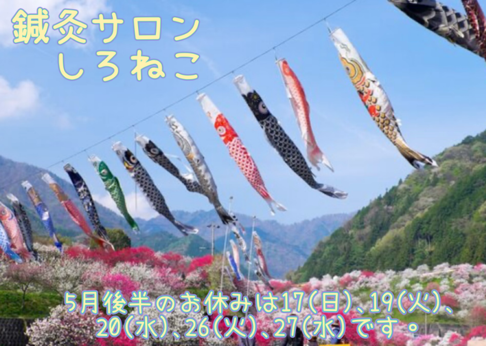 　




鍼灸サロン しろねこ