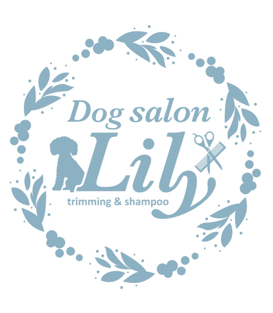 Dogsalon Lily