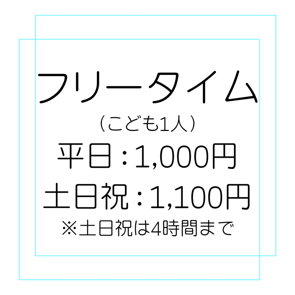 フリータイム1,000円：土日祝は＋100円/4Hまで