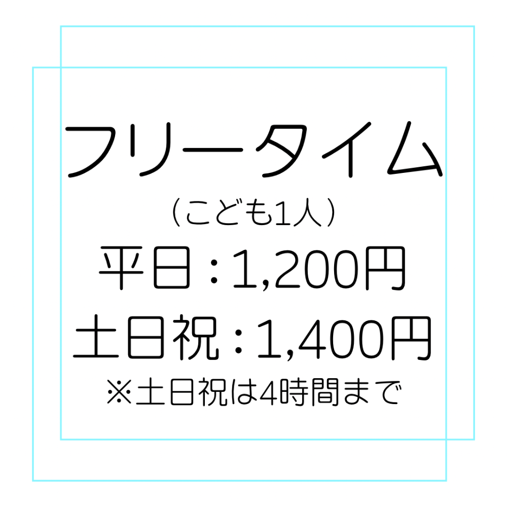 フリータイム1,200円：土日祝は＋200円/4Hまで