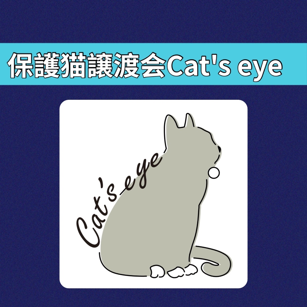 　　　　　　　　　　　
保護猫譲渡会Cat'seye








