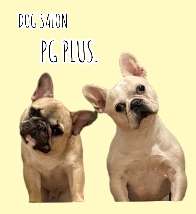 DOG SALON PG PLUS.