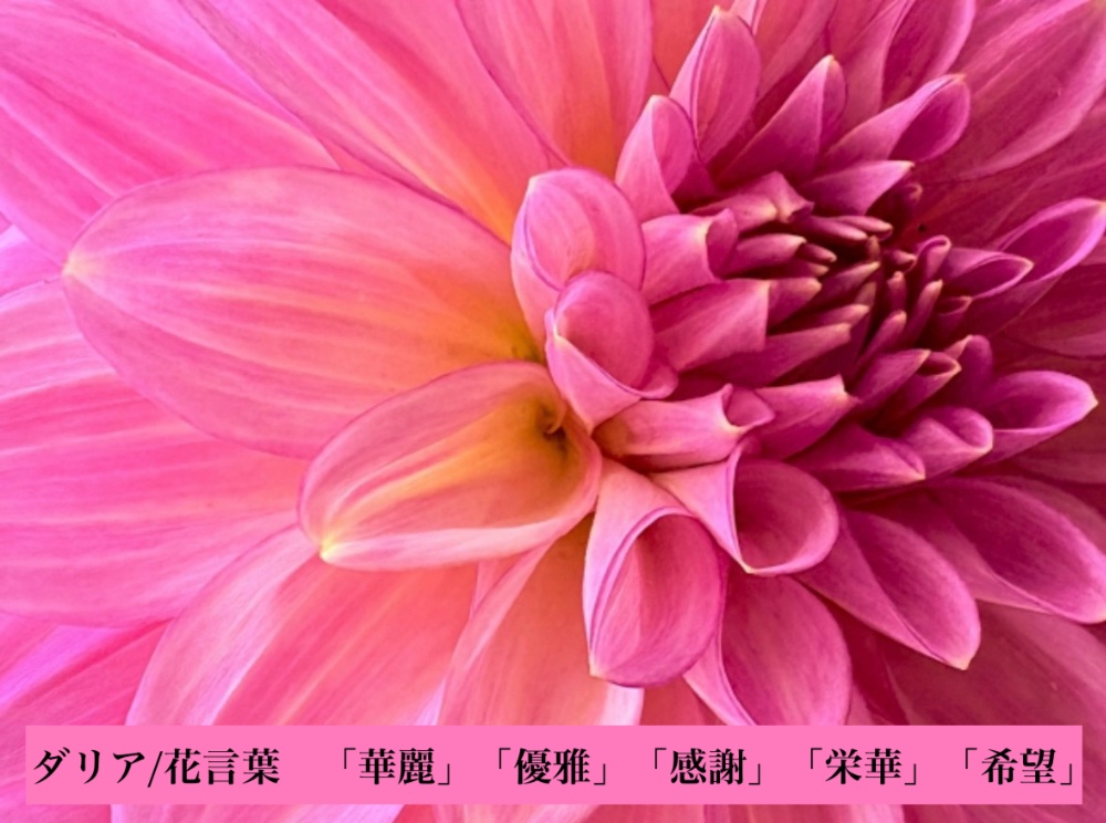 よもぎ蒸しとフェイシャル　東金市OPPEN Bloom