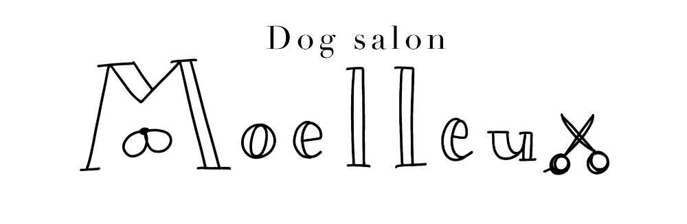 Dog Salon Moelleux