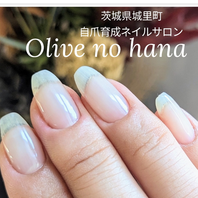 茨城県城里町
Nail Salon 
和里ィ歩の花