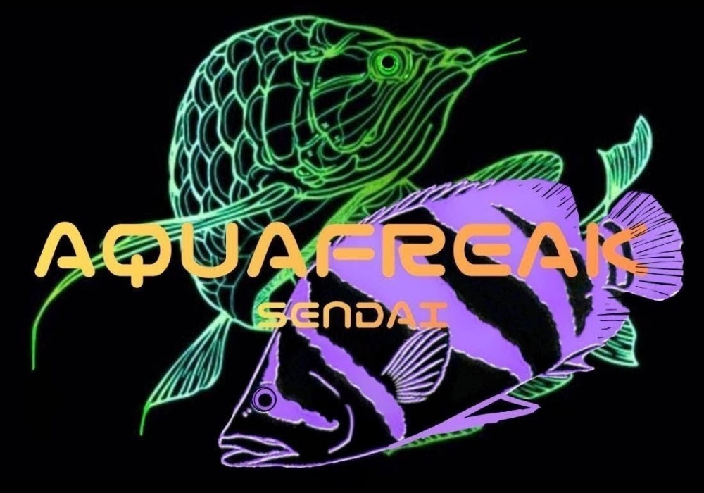 AQUAFREAK SENDAI