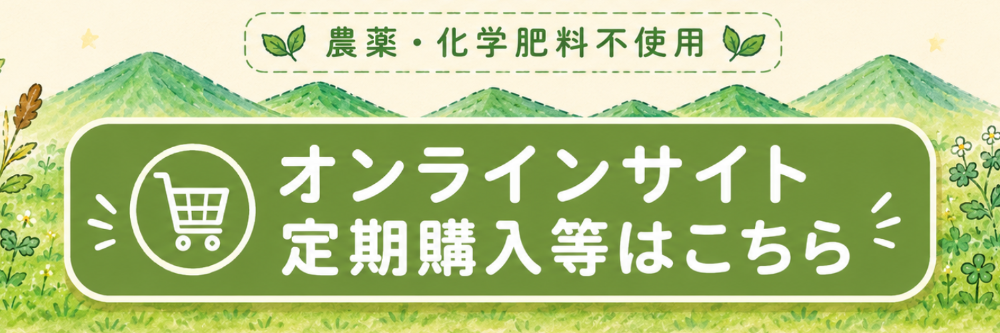 オンラインサイト