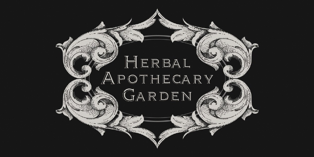 Herbal Apothecary Garden
（ハーブスクール・ワンちゃんの為のハーブ）