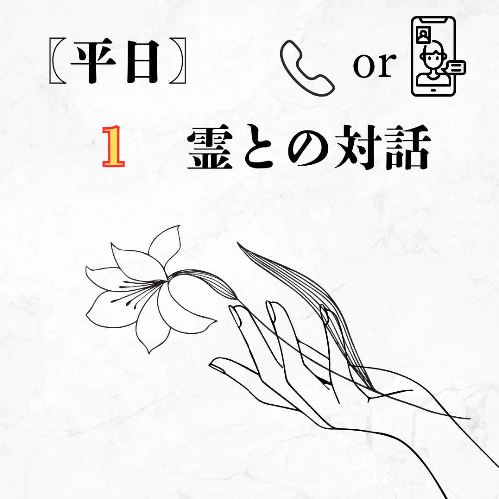 【通話　｜平日｜1霊】