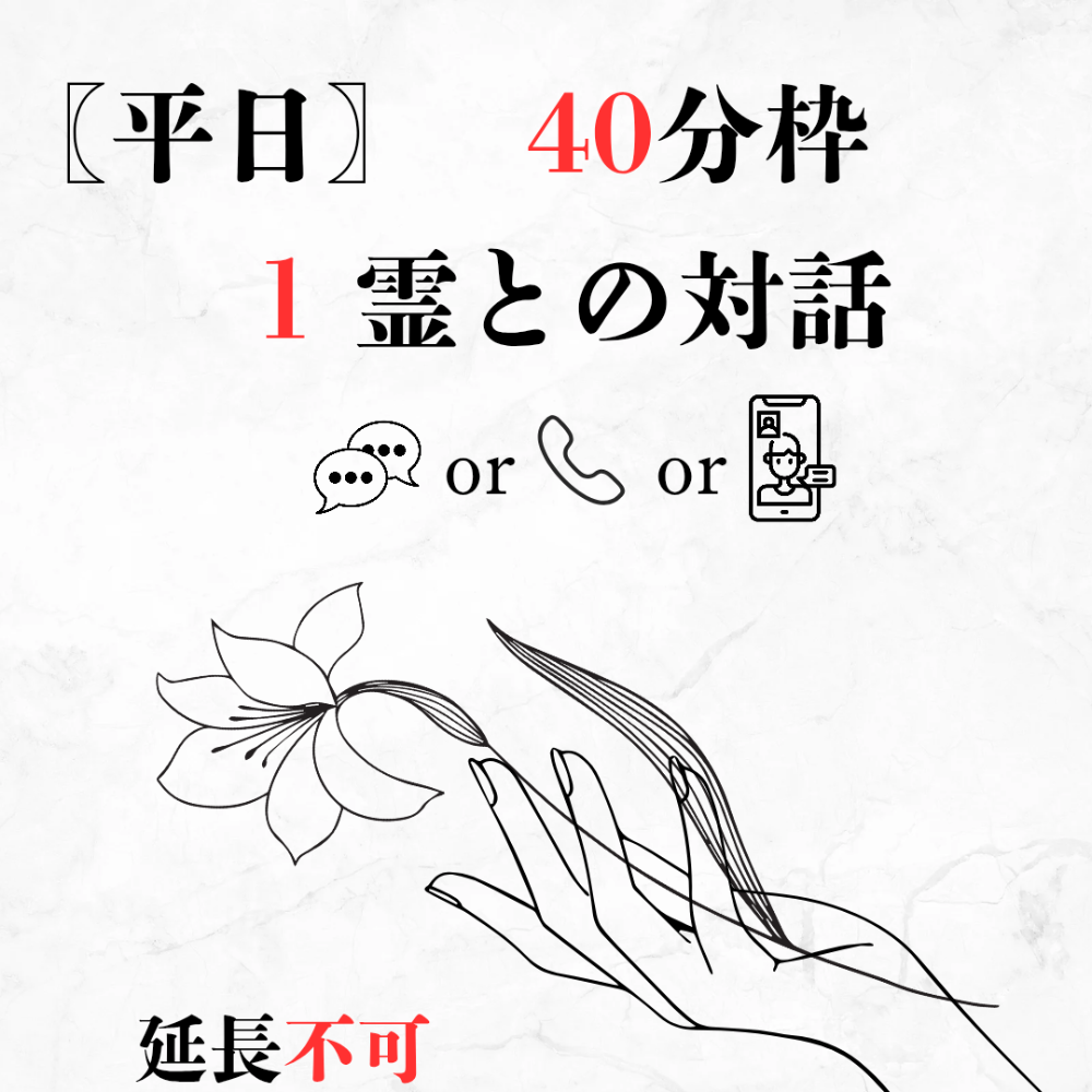 【平日｜40分枠｜1霊】