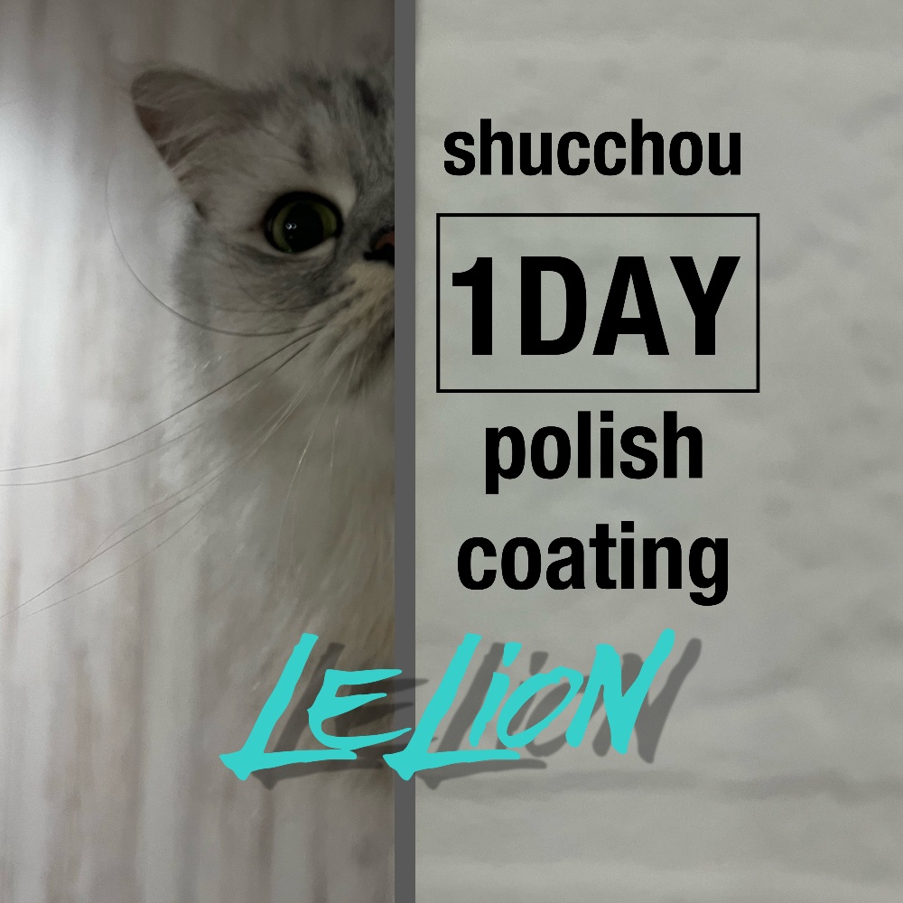 カーコーティング埼玉