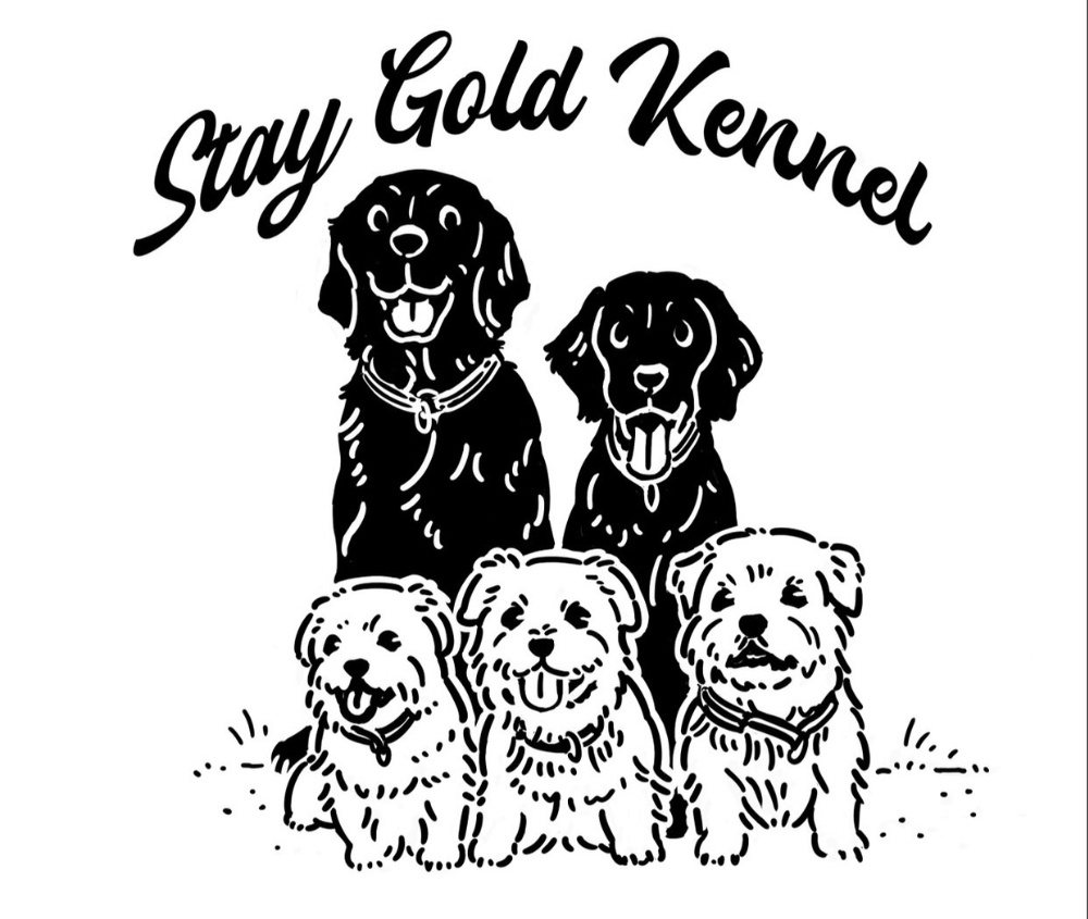 STAYGOLD
KENNEL