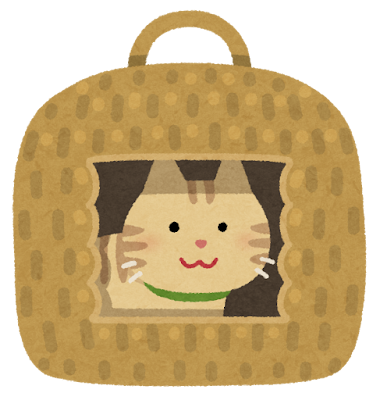 猫がご飯を食べる様子