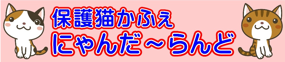 🐱 保護猫かふぇ 🐱
にゃんだ～らんど