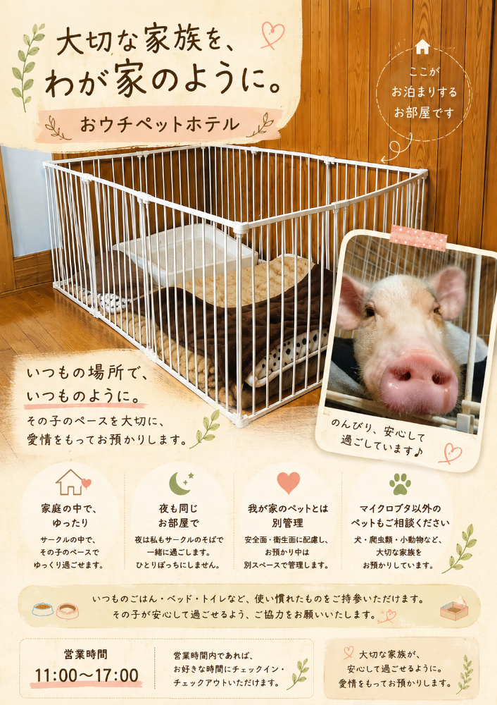 スイーティーピッグス千葉】マイクロミニブタふれあい・販売・ホテル