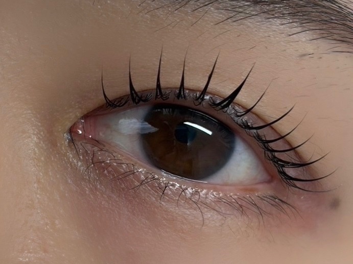施術後の目元（上まつ毛パーマの仕上がり）