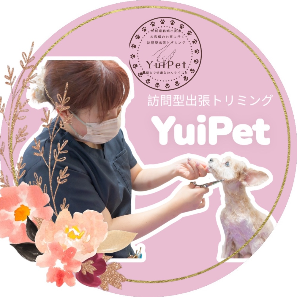 【茨城・結城市⠀】
🏠訪問型出張トリミング✂️
YuiPet(ユイペット)