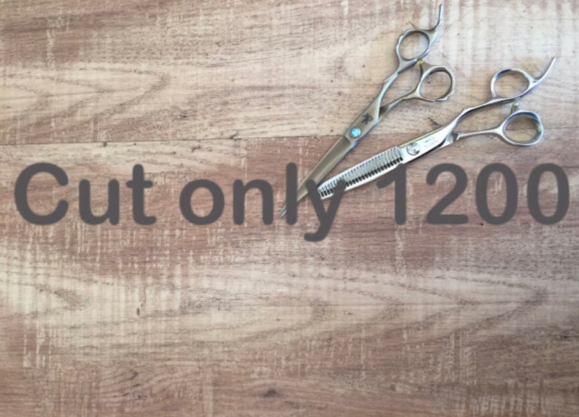 Cutonly1200