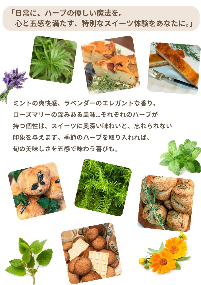 ハーブスイーツマイスター
