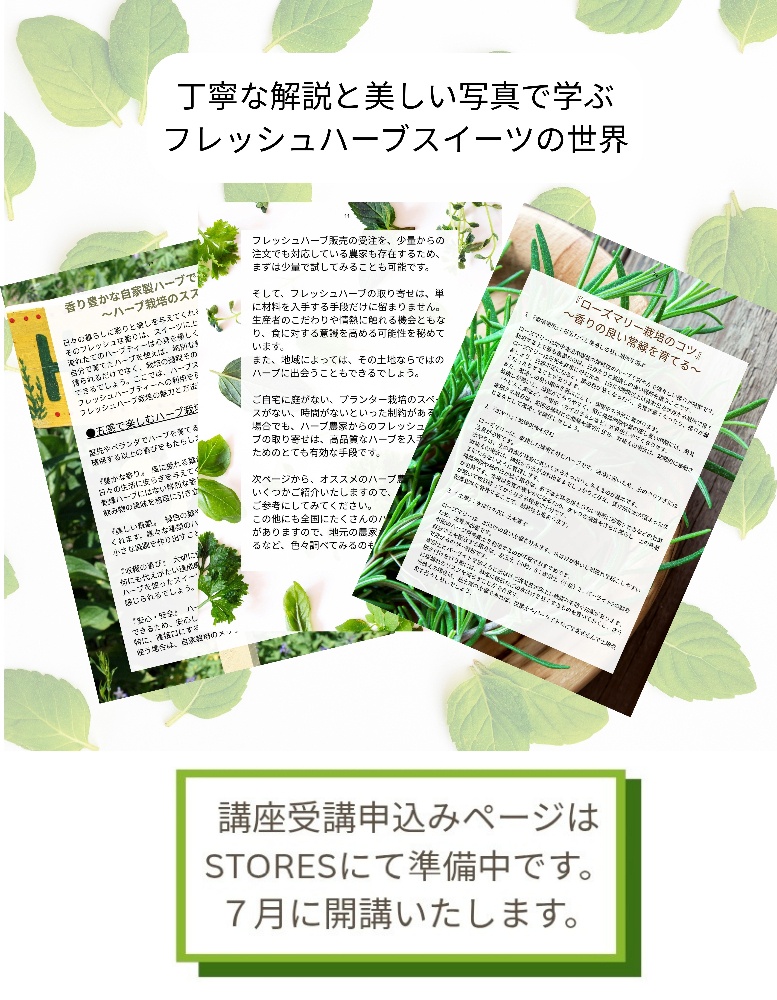 フレッシュハーブ