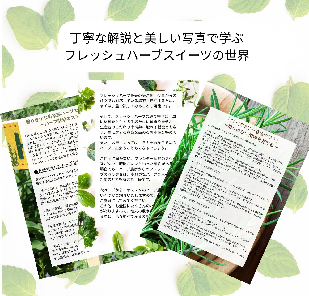 フレッシュハーブ