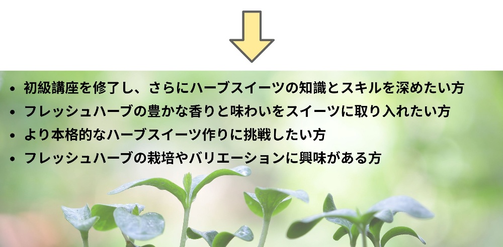 ハーブ