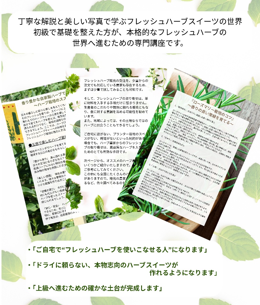 フレッシュハーブ