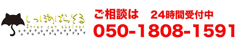 しっぽのパラソル
