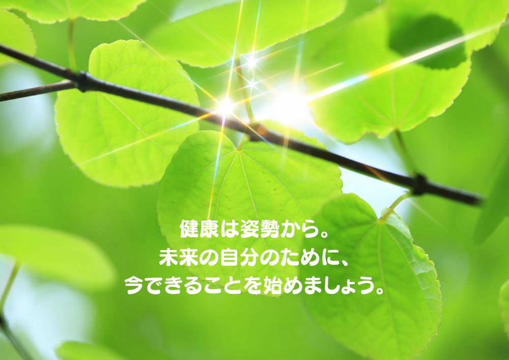 サイトタイトル