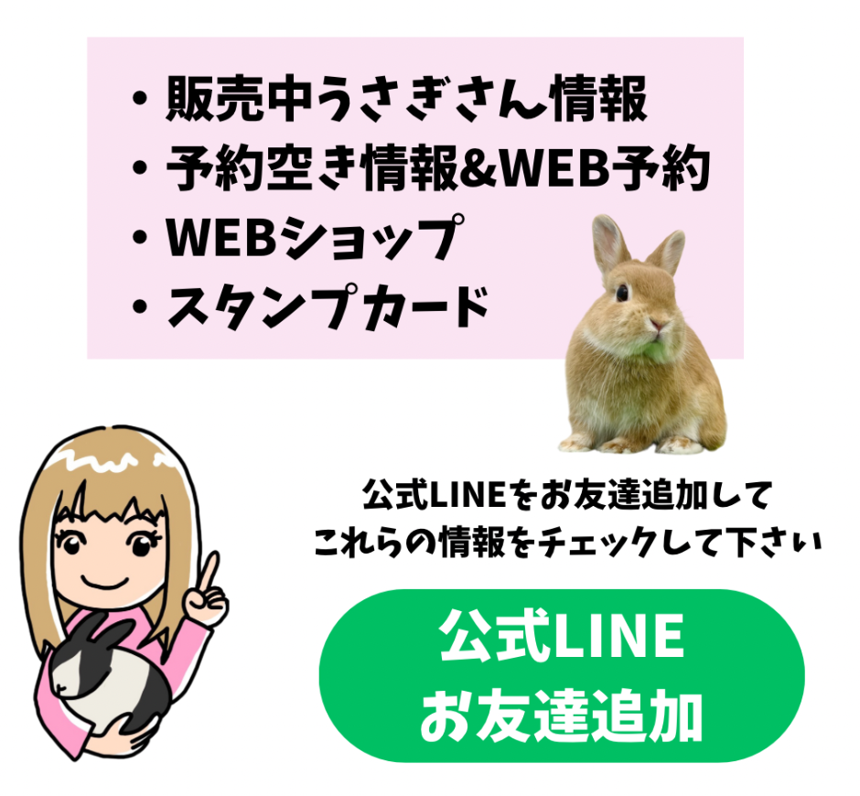 うさぎとわたし