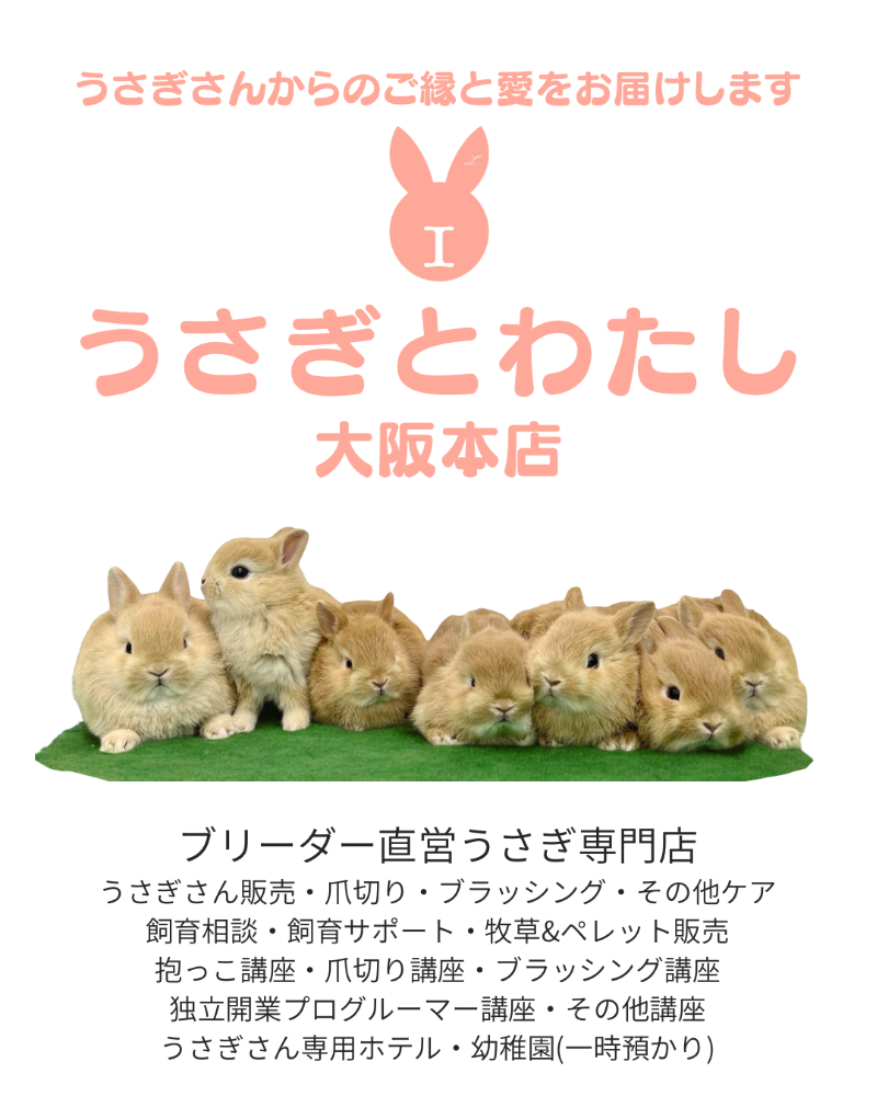 うさぎとわたし大阪本店