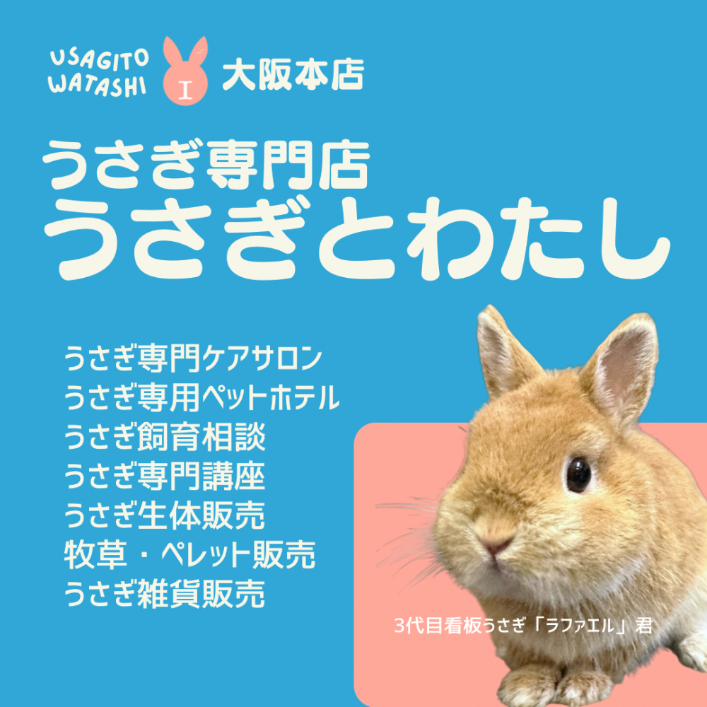 うさぎとわたし大阪本店