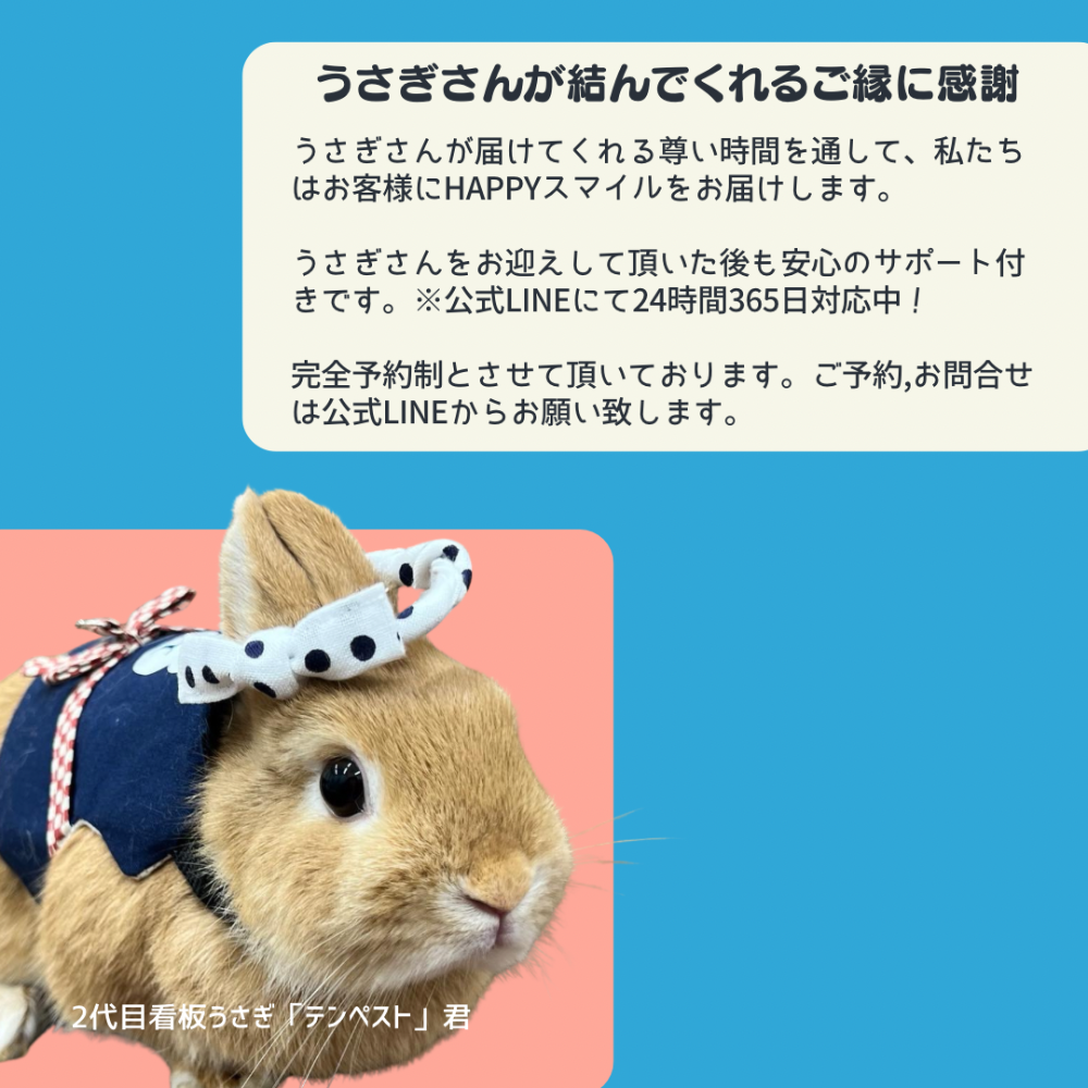 うさぎとわたしコンセプト