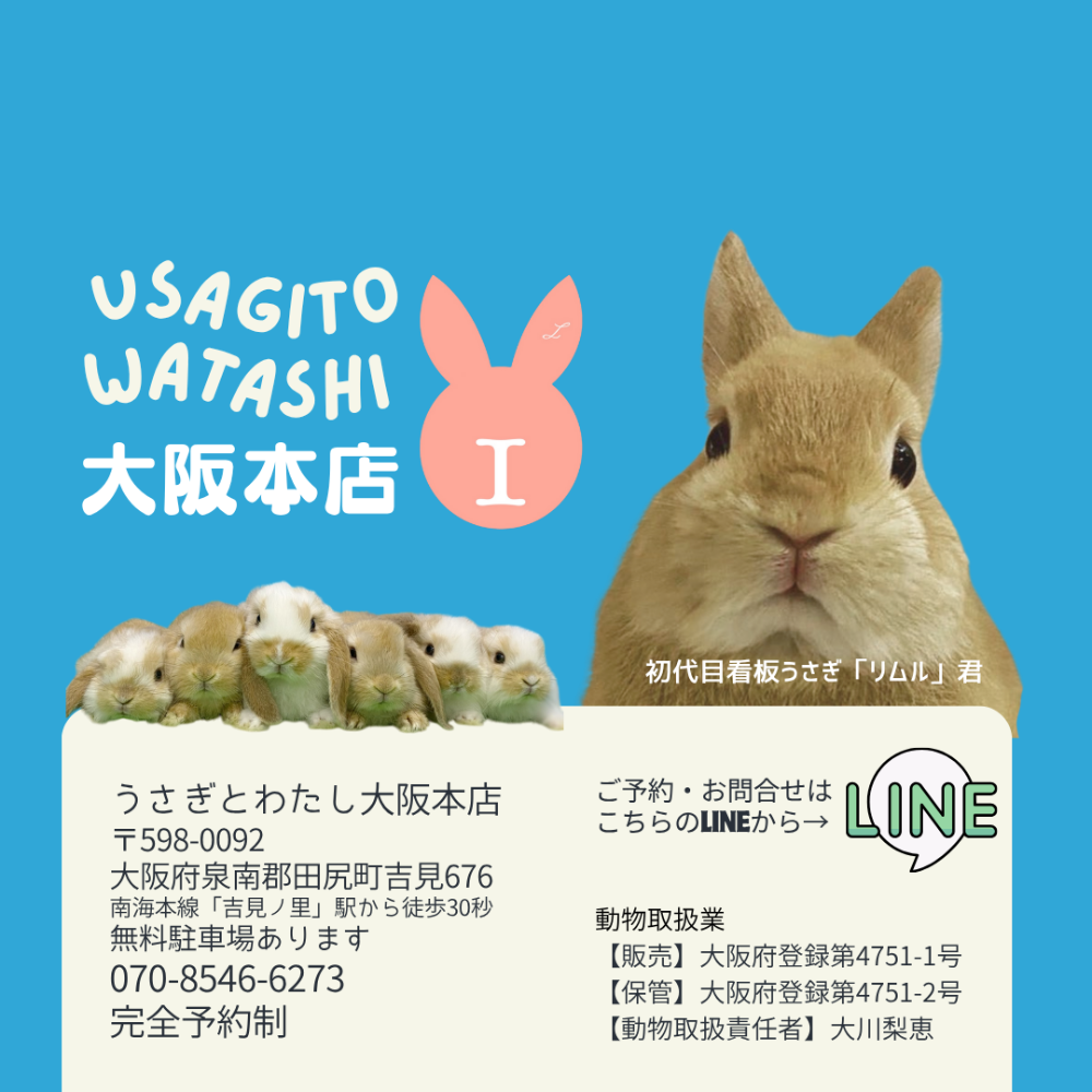 うさぎとわたし住所と電話番号と営業時間