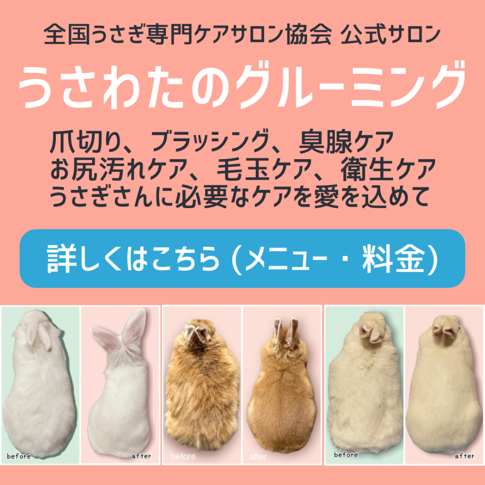 うさぎの爪切りとブラッシング