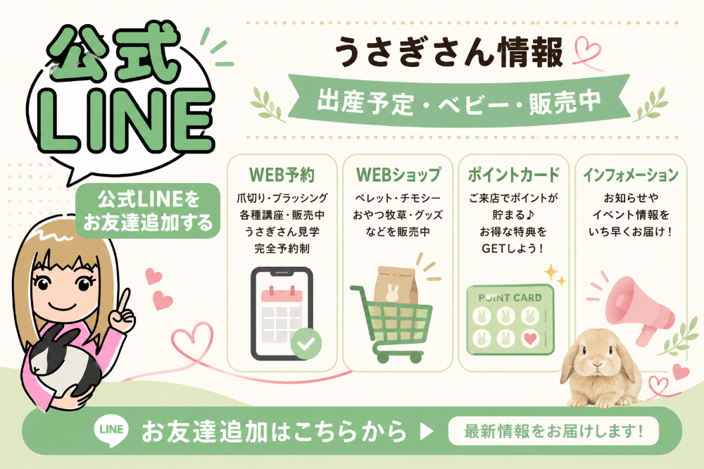 うさぎとわたし公式LINE