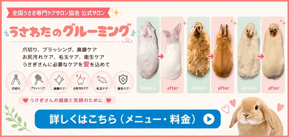 うさぎの爪切りとブラッシング