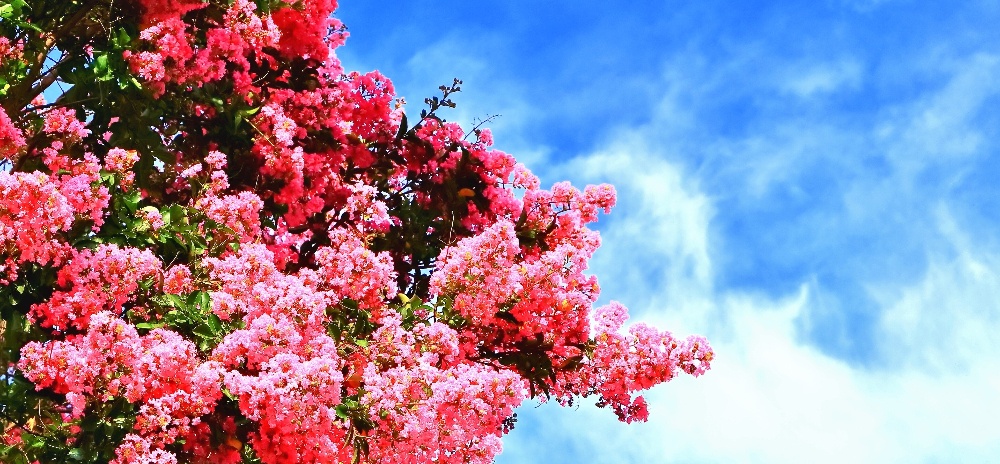 有限会社　大　三　