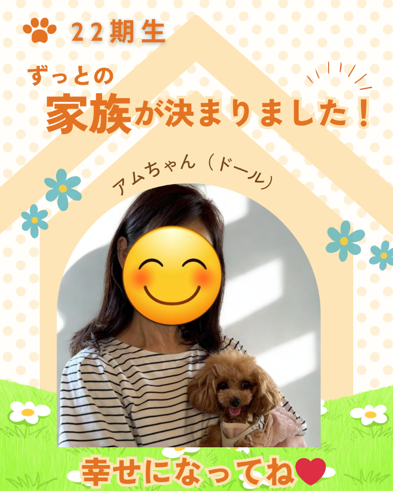 WanWan Net🐾