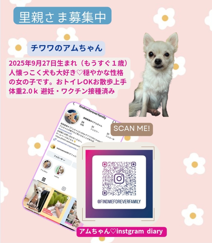 あむちゃん🐾 | WanWan Net🐾