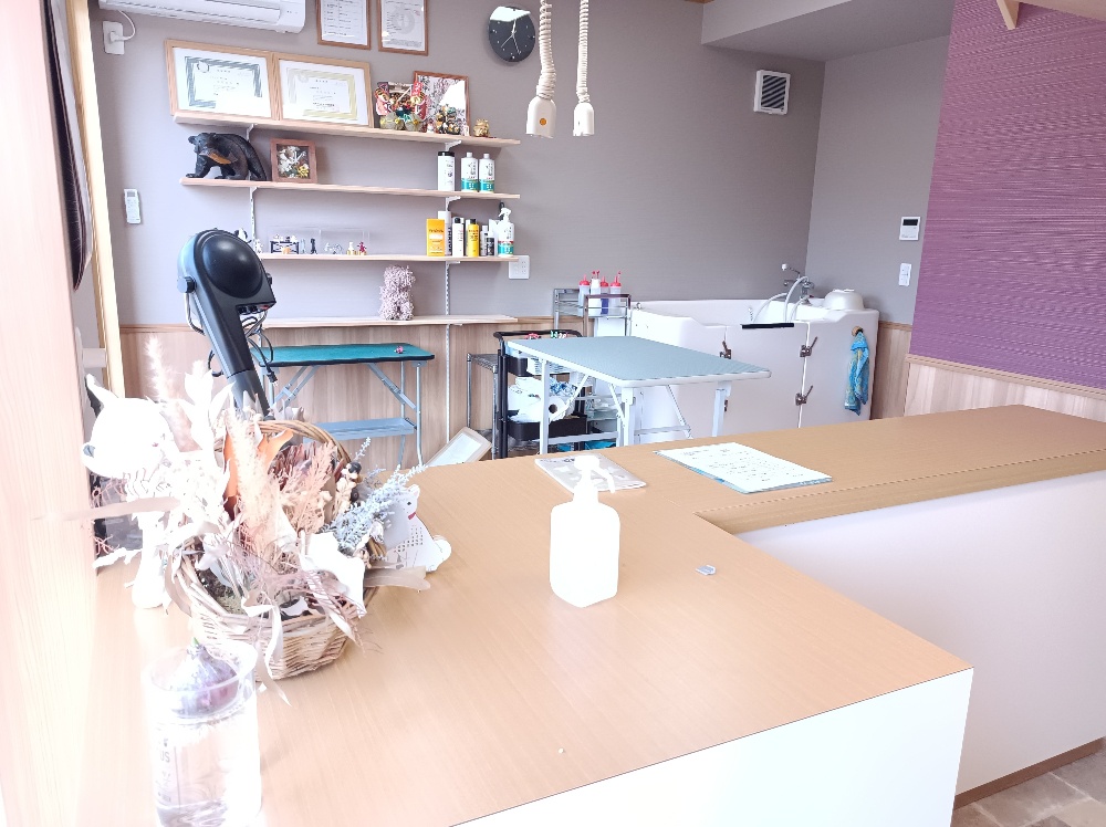 春日井トリミング 店内の様子