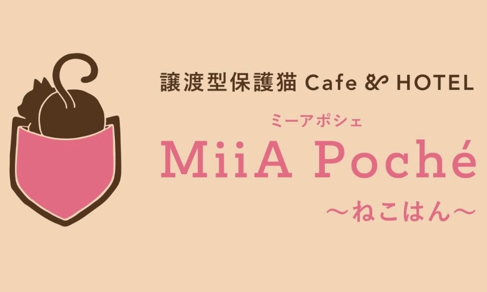 譲渡型保護猫Cafe&HOTEL
MiiA Poché 〜ねこはん〜