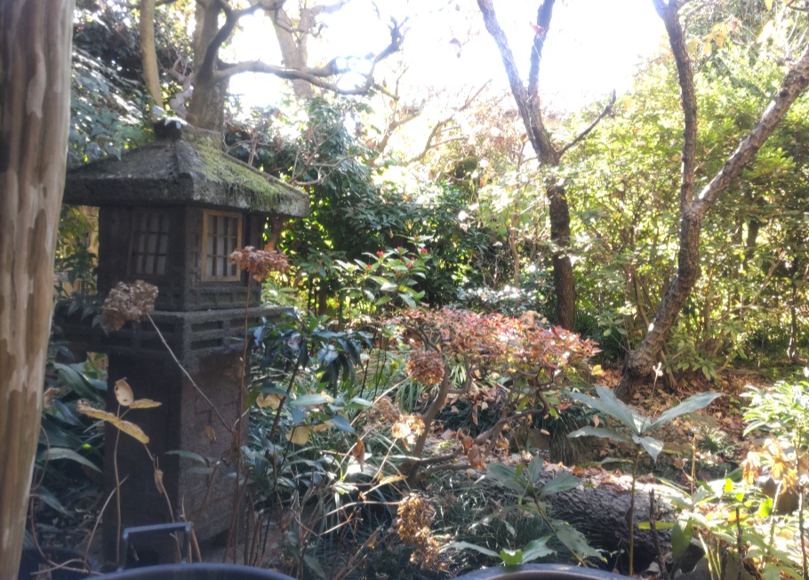 窓から見える庭の景色