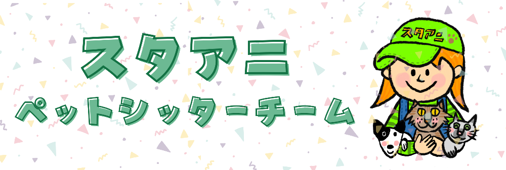 スタアニペットシッターチーム