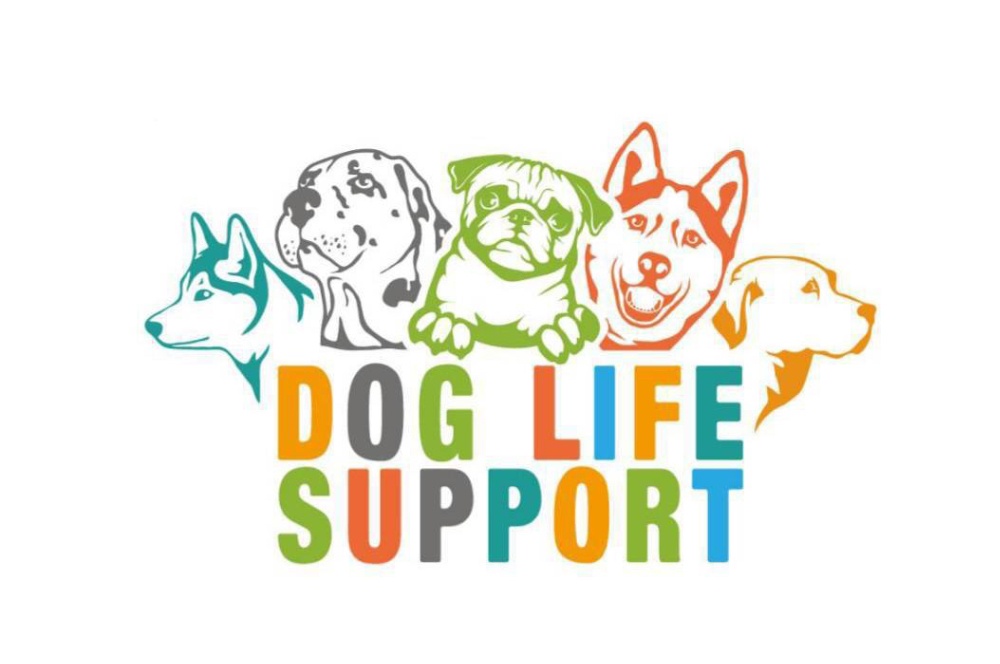 完全プライベートDOGRUN