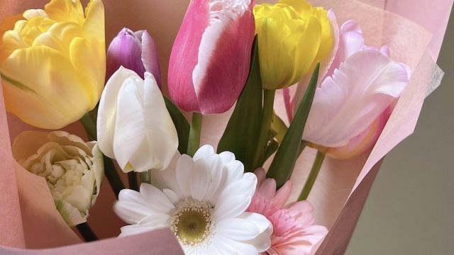 春の歓送迎会は清水駅すぐのシーグランデをご利用ください。