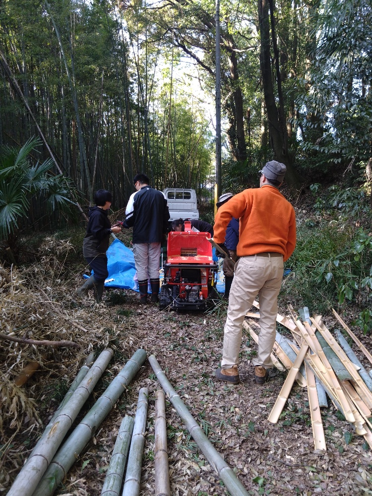 竹林整備