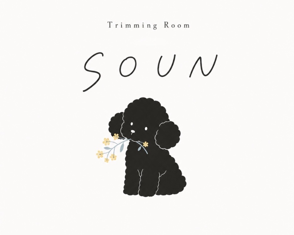 TrimmingRoom SOUN